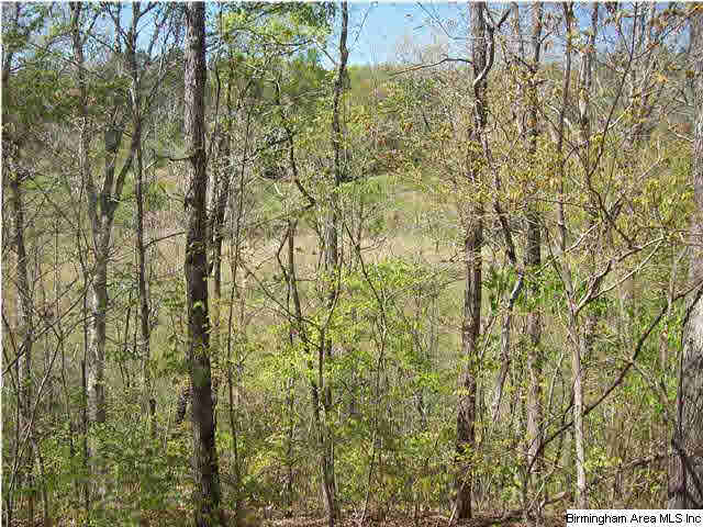 7995 Highway 46 Heflin, AL 36264 - Photo 32 of 32