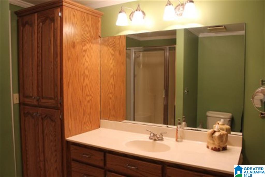 311 Jones Village Road Springville, AL 35146 - Photo 18 of 24
