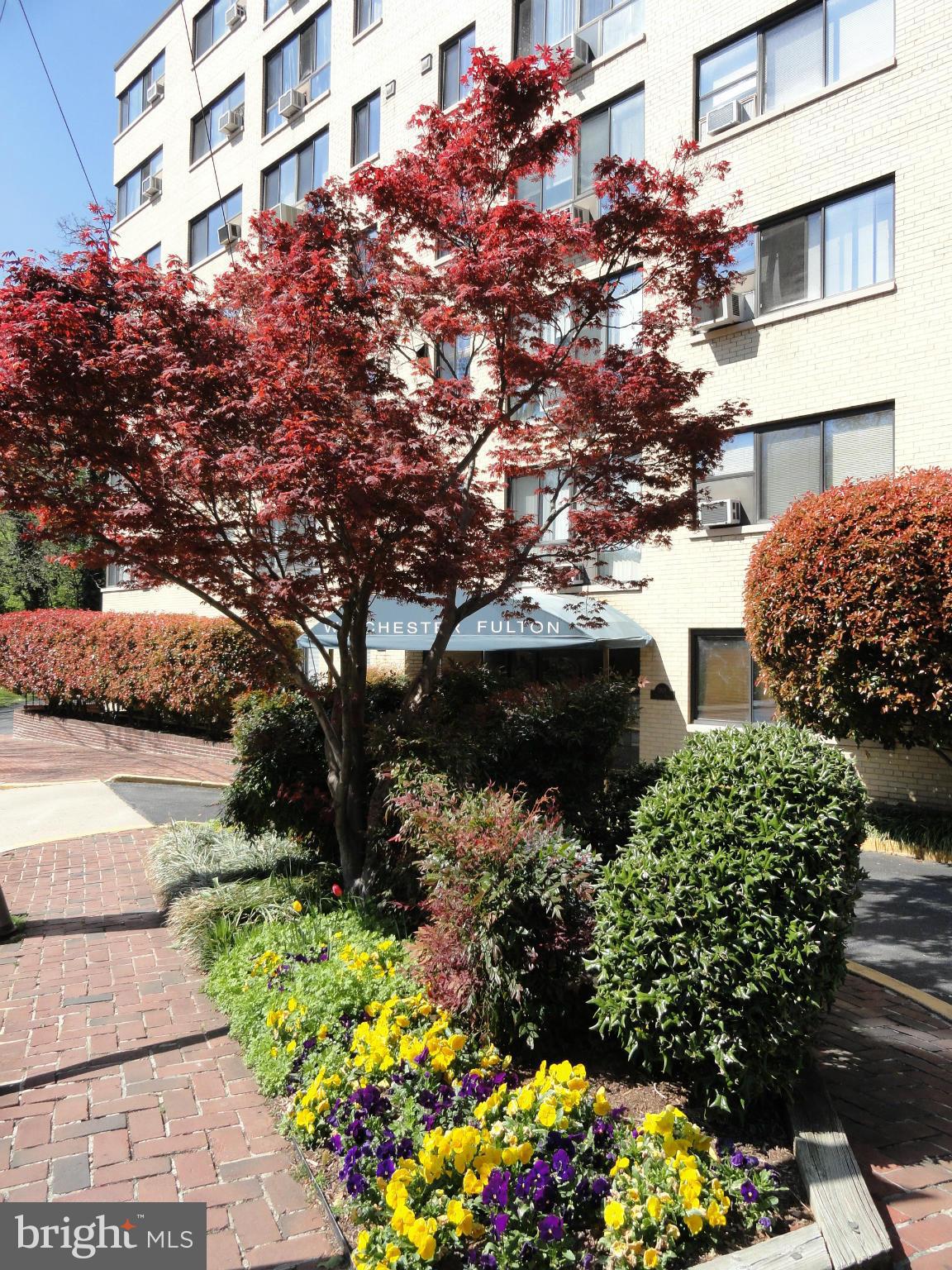 3901 Tunlaw Road., NW
