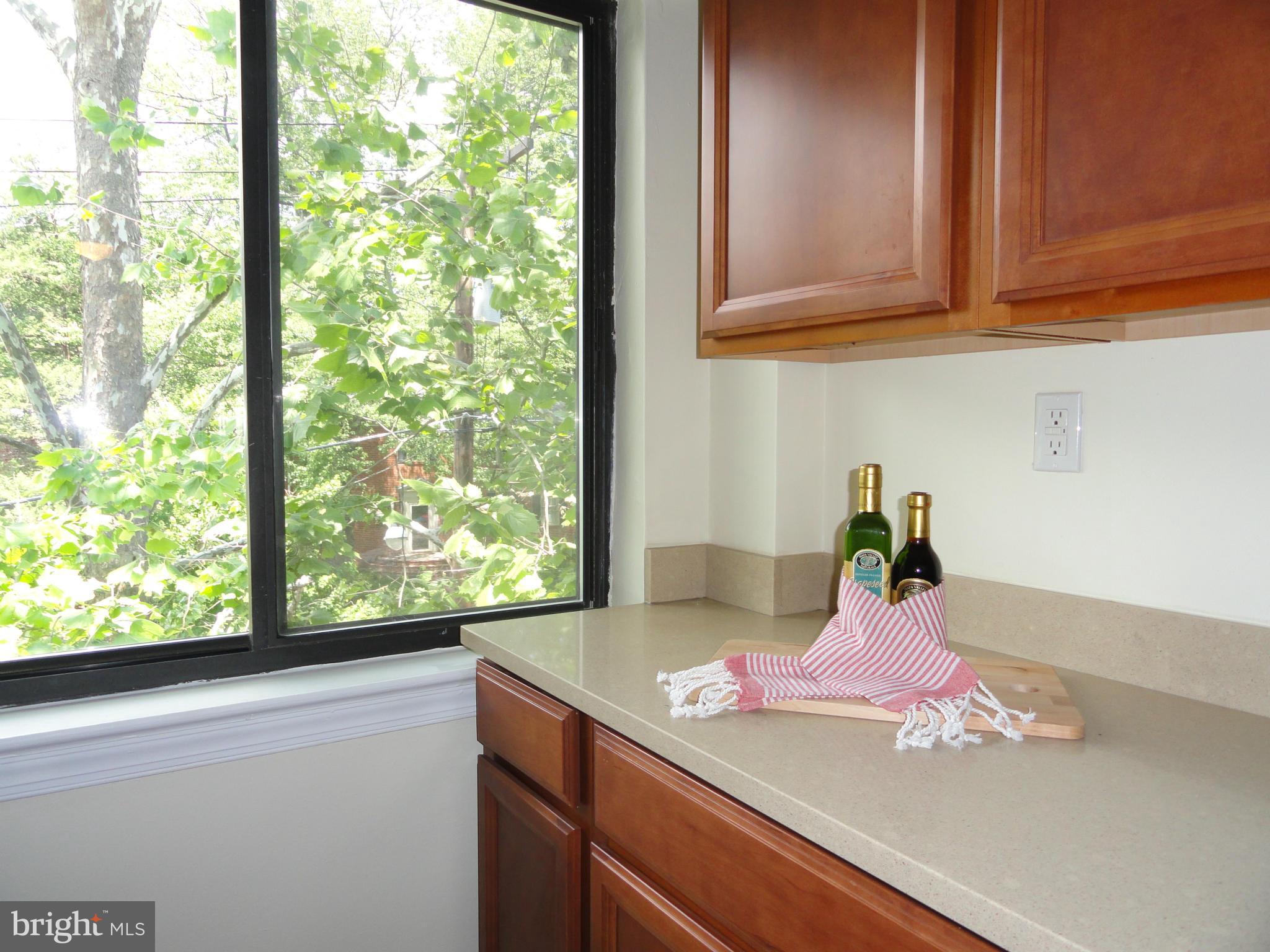 3901 Tunlaw Road Northwest, Unit 701 Washington, DC 20007 - Photo 21 of 29 Kitchen: Silestone Counters