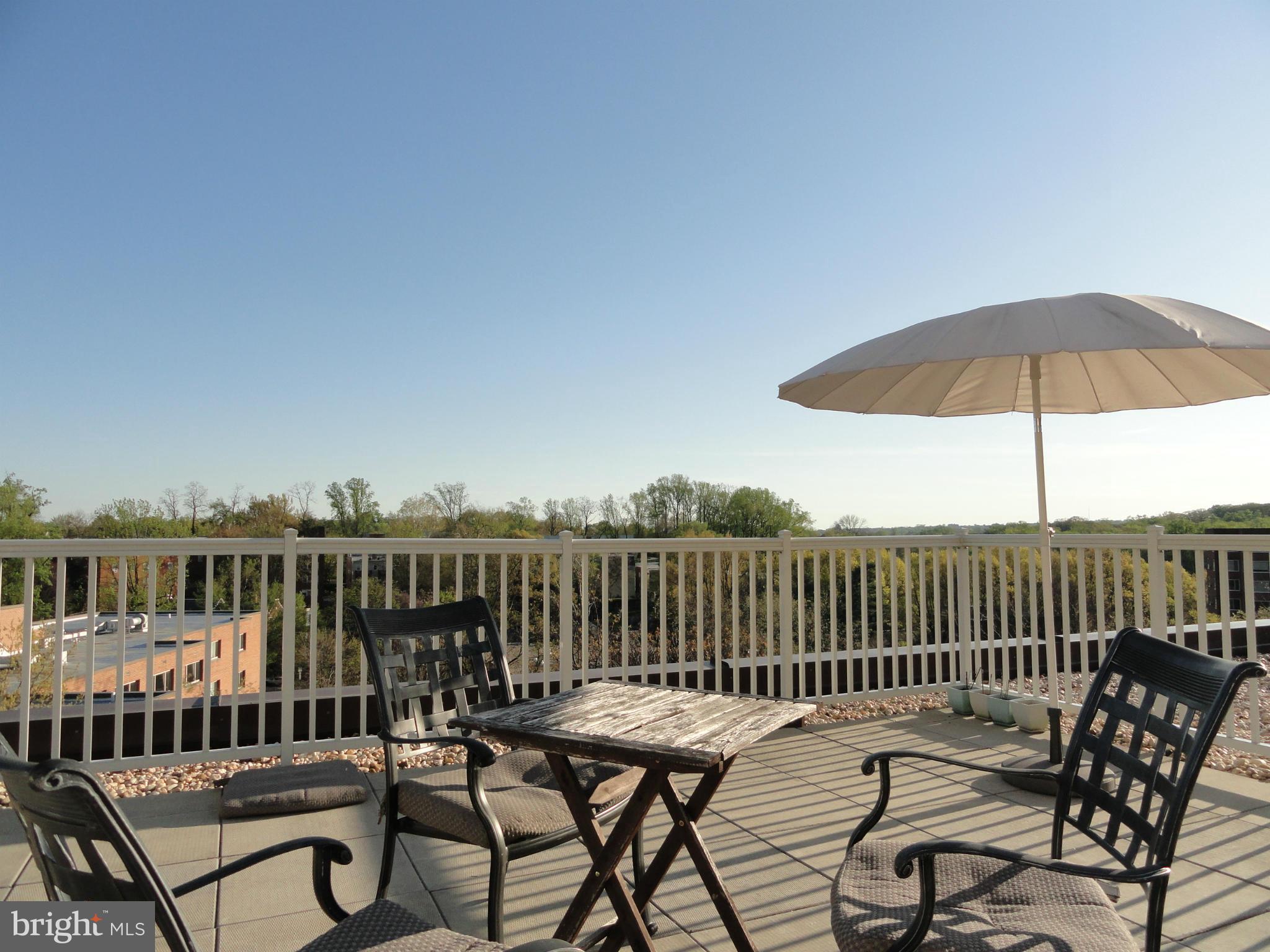 3901 Tunlaw Road Northwest, Unit 701 Washington, DC 20007 - Photo 29 of 29 Roof Deck
