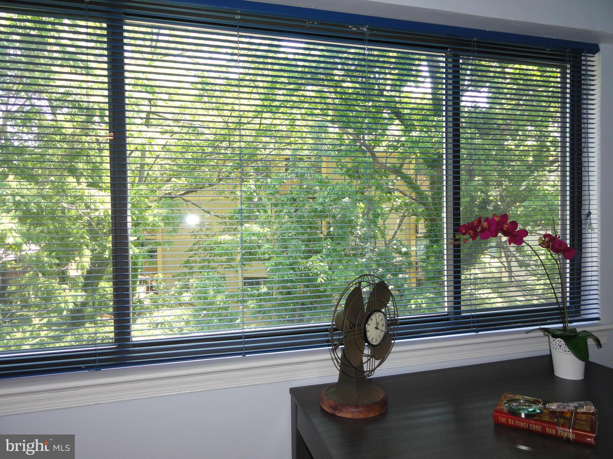 3901 Tunlaw Road Northwest, Unit 701 Washington, DC 20007 - Photo 9 of 29 Master Bedroom: Trees!
