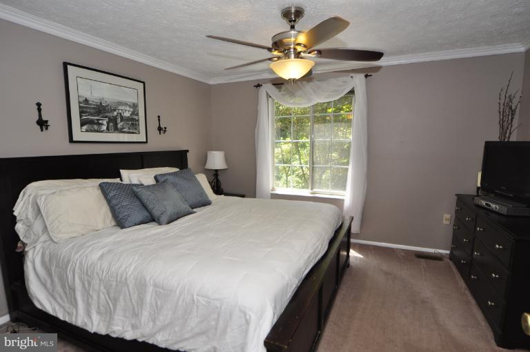 1652 Barnstead Drive Reston, VA 20194 - Photo 15 of 28 Bedroom (Master)