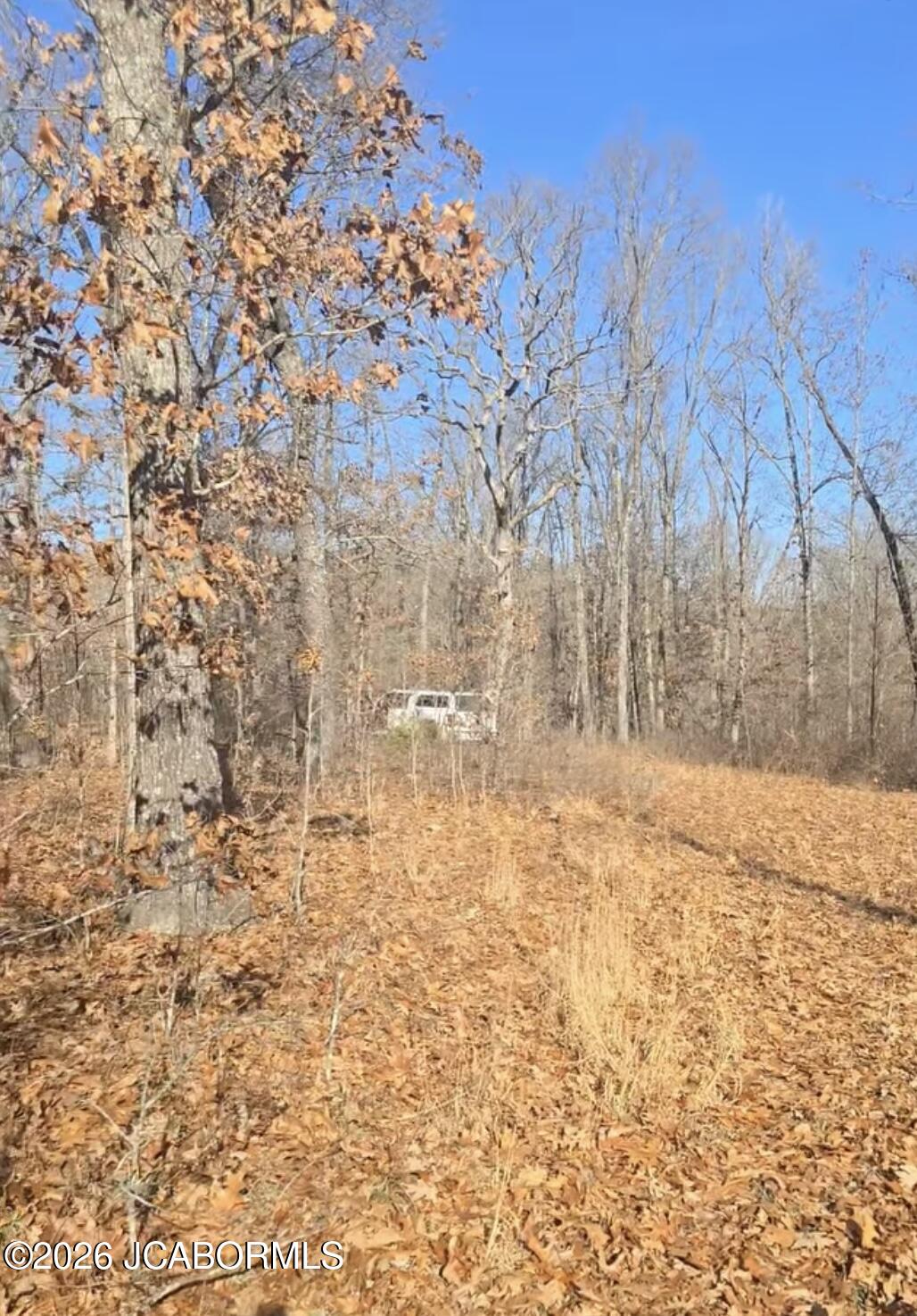 Tbd Possum Trot Road Stover, MO 65078 - Photo 5 of 6
