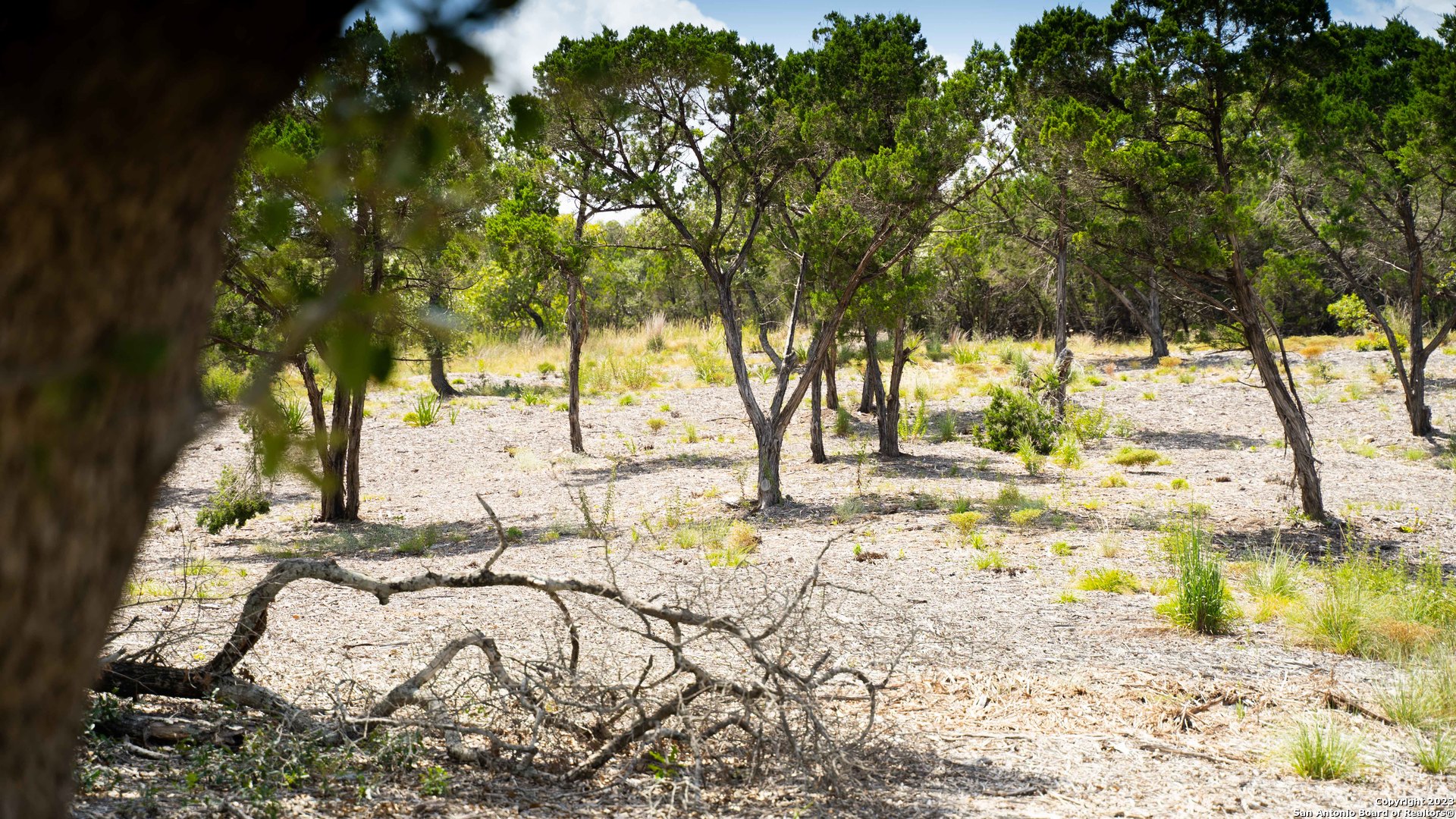 66 Winton Ridge Helotes, TX 78023 - Photo 12 of 27