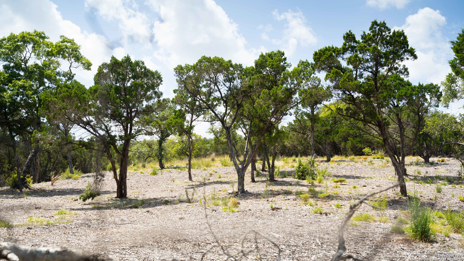 66 Winton Ridge Helotes, TX 78023 - Photo 13 of 27