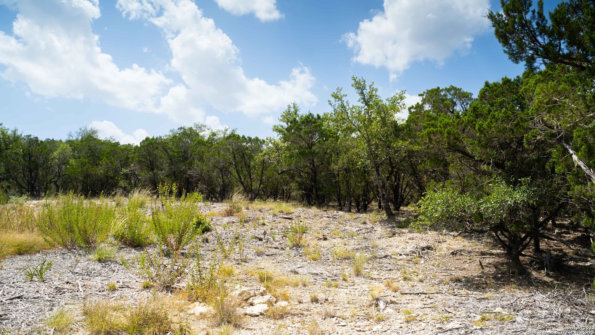 66 Winton Ridge Helotes, TX 78023 - Photo 16 of 27