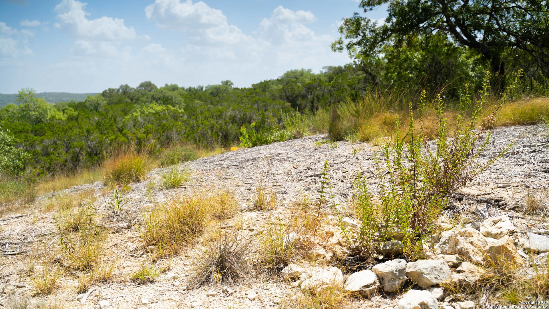 66 Winton Ridge Helotes, TX 78023 - Photo 17 of 27