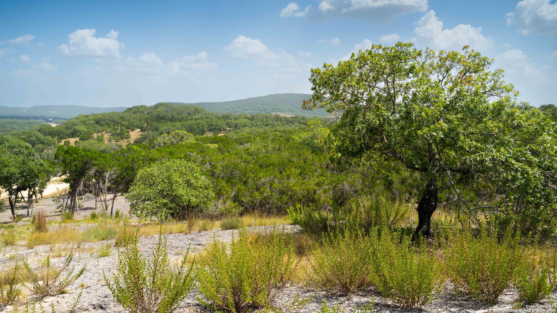 66 Winton Ridge Helotes, TX 78023 - Photo 19 of 27