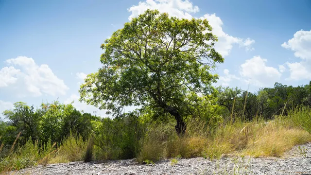 $240,000 | 66 Winton Ridge, Helotes, TX 78023