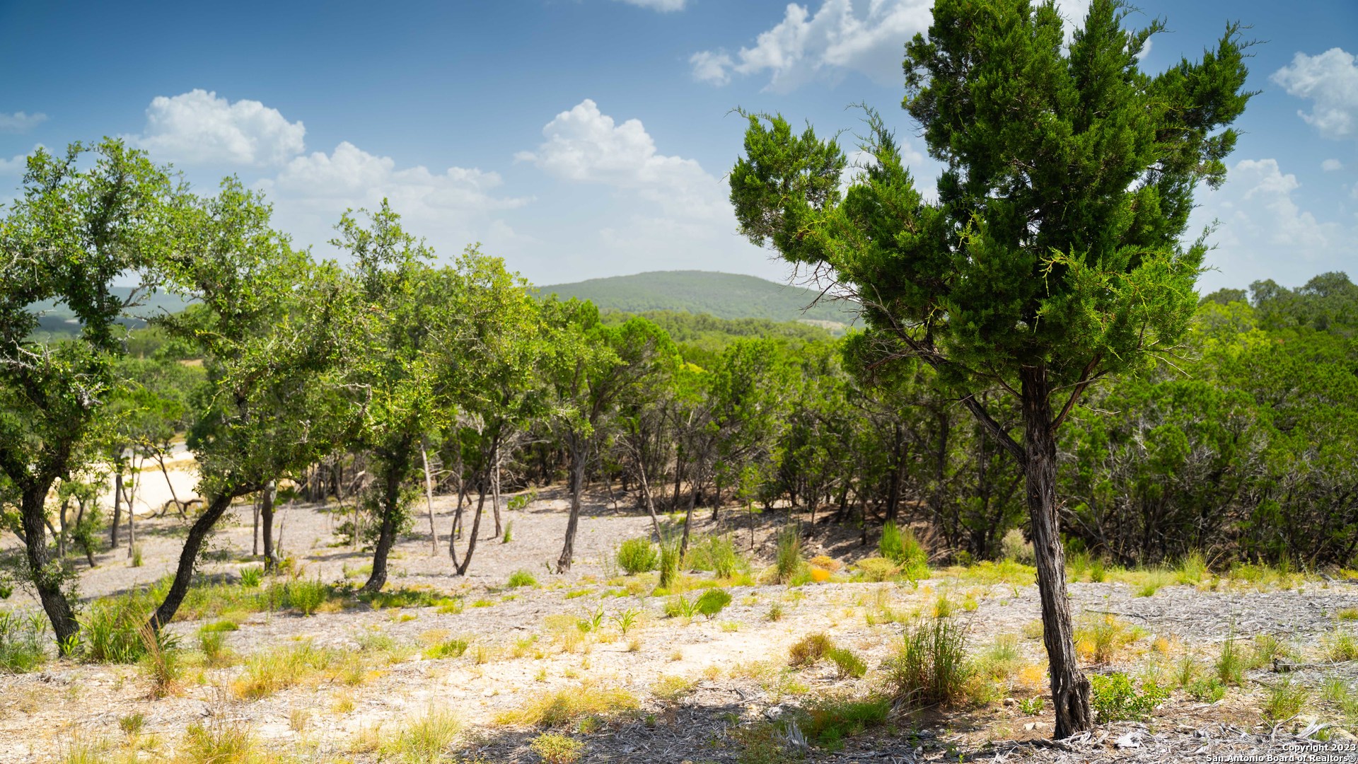 66 Winton Ridge Helotes, TX 78023 - Photo 21 of 27