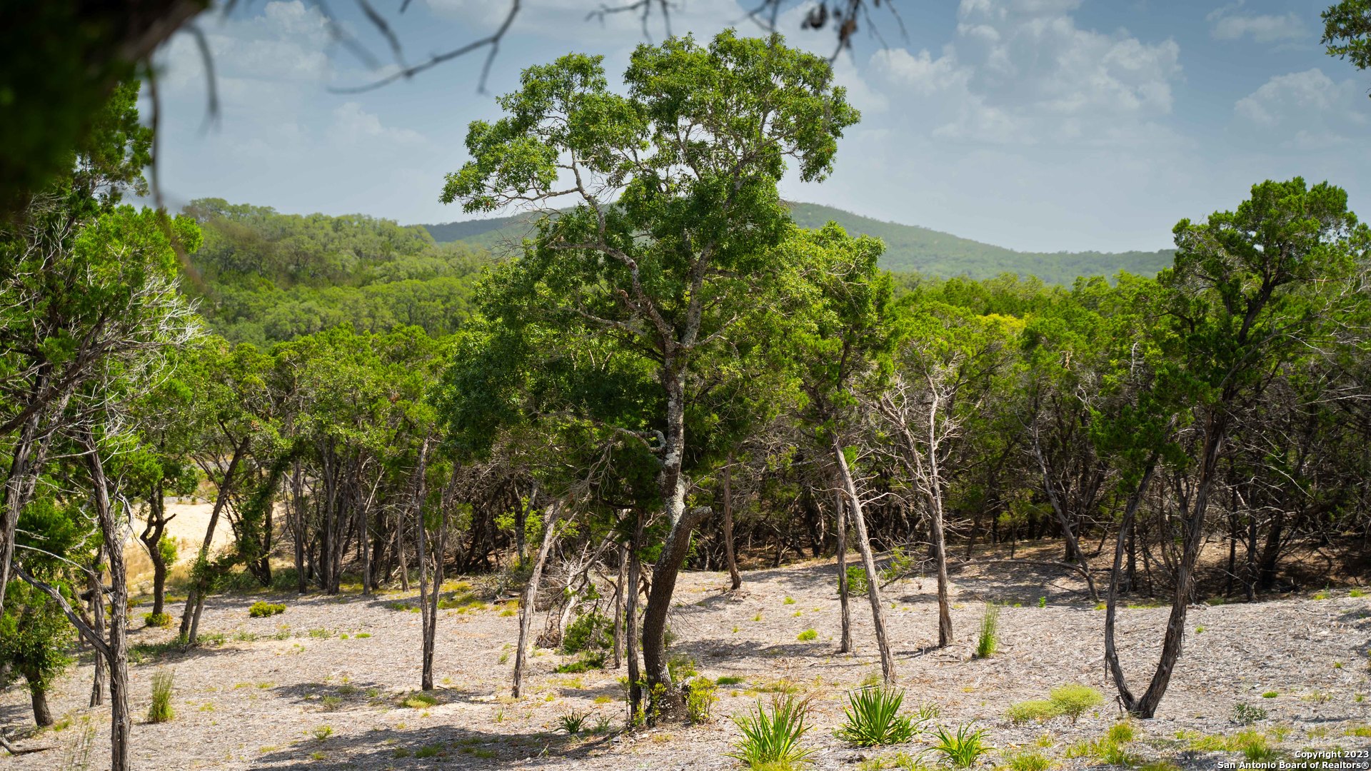 66 Winton Ridge Helotes, TX 78023 - Photo 22 of 27