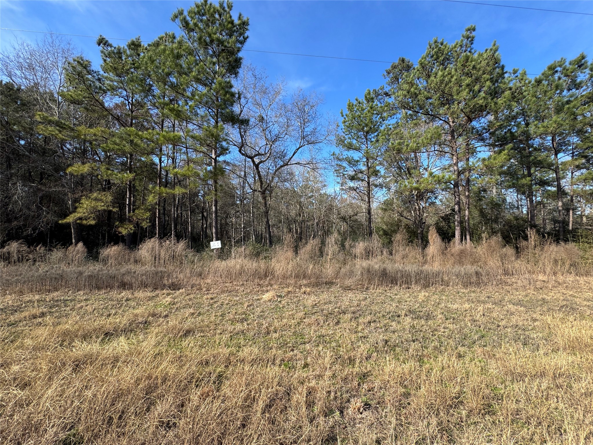 87-22-10 87-22-10 Granite Road Huntsville, TX 77340 - Photo 2 of 5