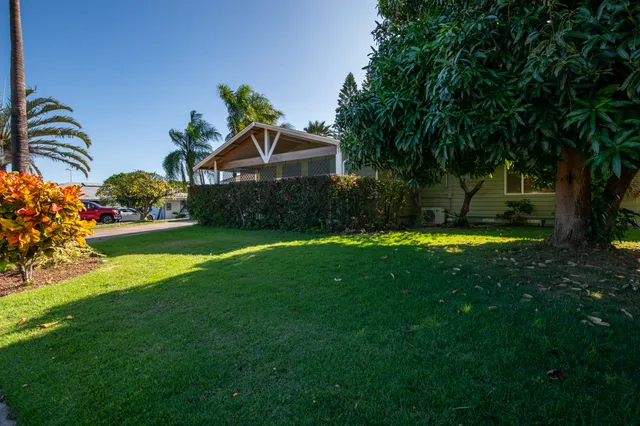 a view of a house with a big yard and a large tree