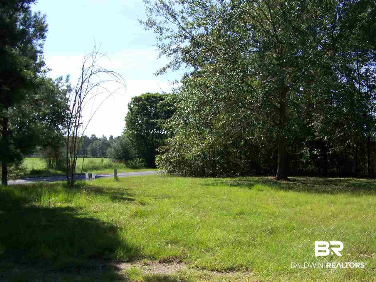 4251 Britton Lige Road Millry, AL 36558 - Photo 21 of 21