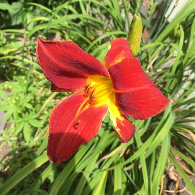 129 Locust Valley Road Exeter, RI 02822 - Photo 48 of 50