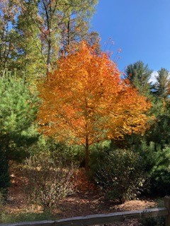 129 Locust Valley Road Exeter, RI 02822 - Photo 49 of 50