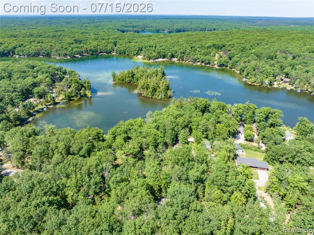 371 Dyer Road Rose City, MI 48654 - Photo 21 of 23 Gallery Image 21