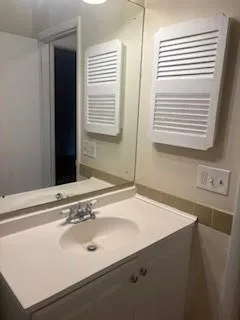 a bathroom with a sink and a mirror