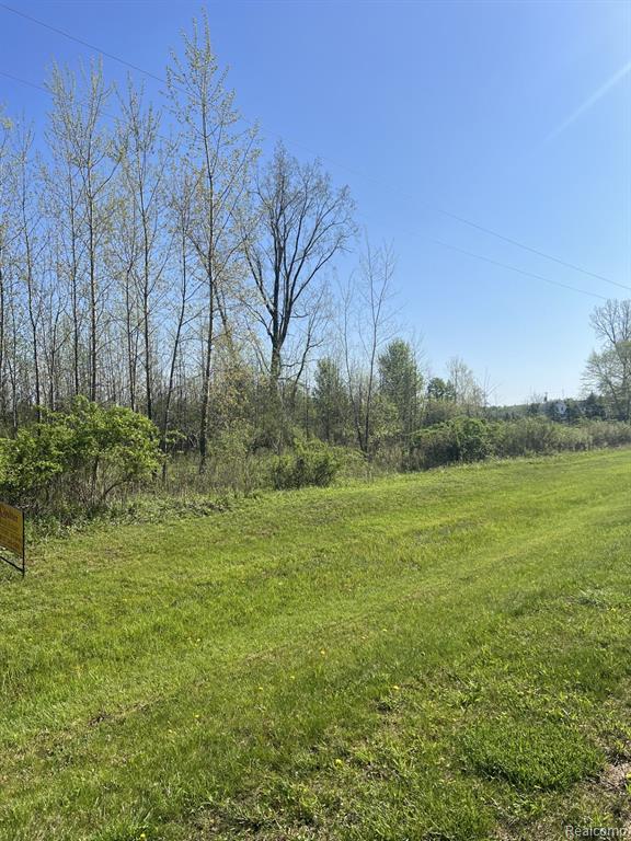 Vl Turtle Lake Road North Branch, MI 48461 - Photo 3 of 3