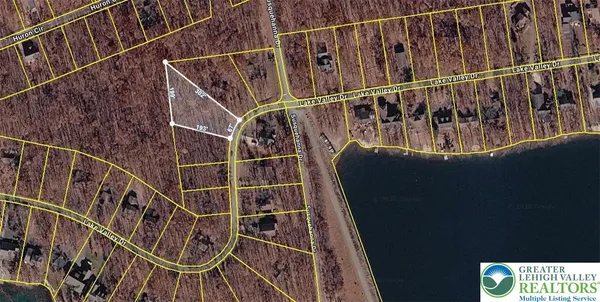 a lake view with boat and palm trees