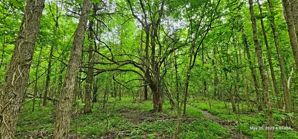 $223,776 | 3230 County Road 3230, Clarksville, TX 75426