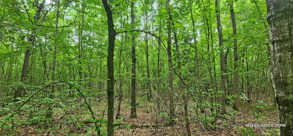 $223,776 | 3230 County Road 3230, Clarksville, TX 75426