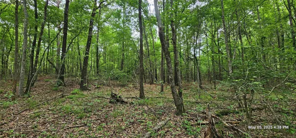 $223,776 | 3230 County Road 3230, Clarksville, TX 75426