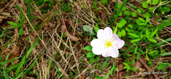 $223,776 | 3230 County Road 3230, Clarksville, TX 75426