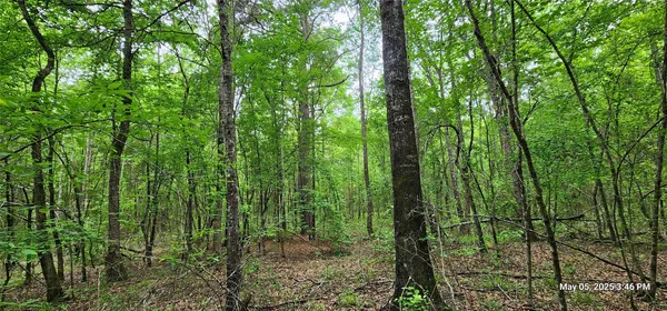 $223,776 | 3230 County Road 3230, Clarksville, TX 75426