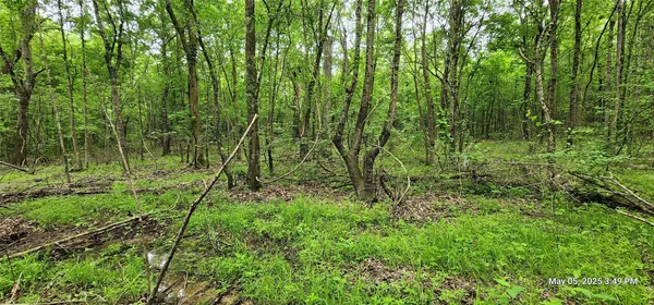 $223,776 | 3230 County Road 3230, Clarksville, TX 75426