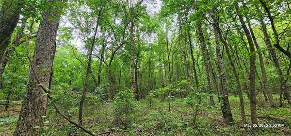 $223,776 | 3230 County Road 3230, Clarksville, TX 75426