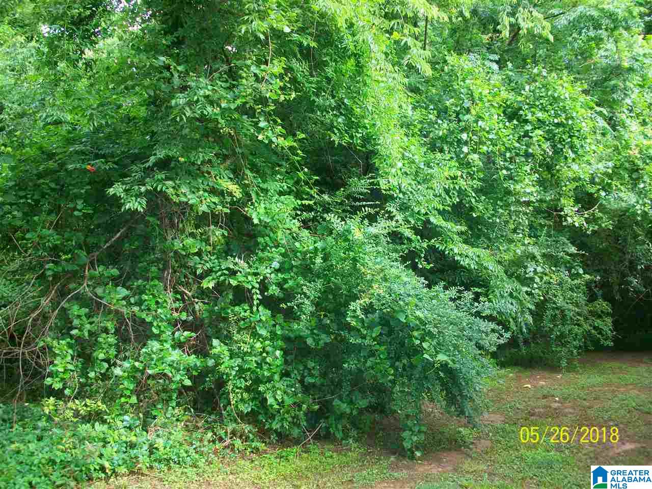 3107 Crest Oval Mountain Road Bessemer, AL 35023 - Photo 7 of 26