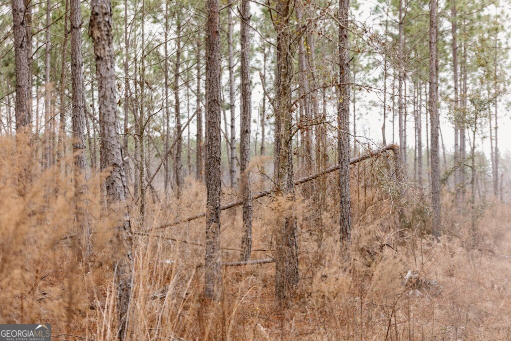0 Bunn Store Road, Unit TRACT 2 Midville, GA 30441 - Photo 11 of 16 a view of a yard with trees in the background