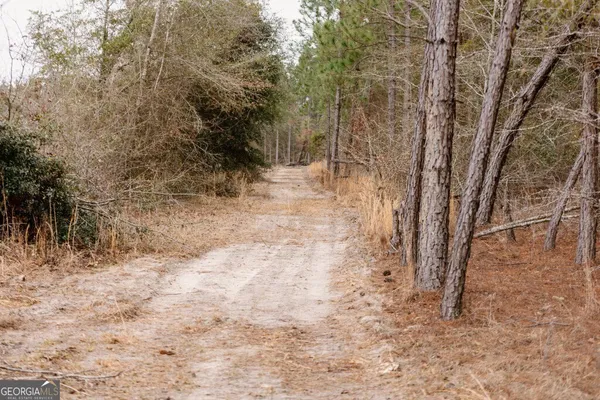 a view of a yard with trees