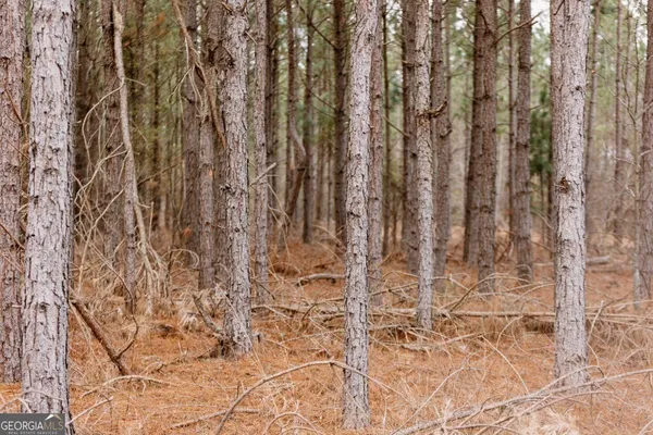 a close up of a curtain