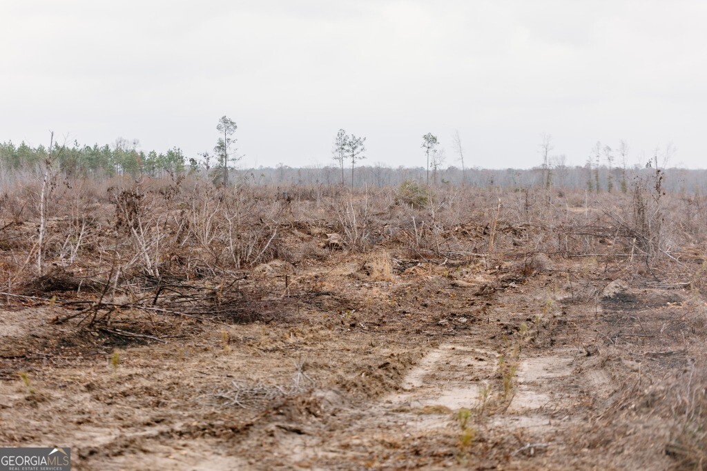 0 Bunn Store Road, Unit TRACT 2 Midville, GA 30441 - Photo 8 of 15 a view of a city with tall trees