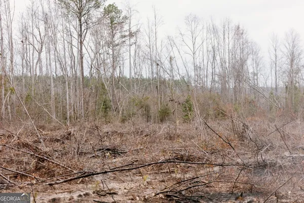 a view of a dry yard with trees in the background