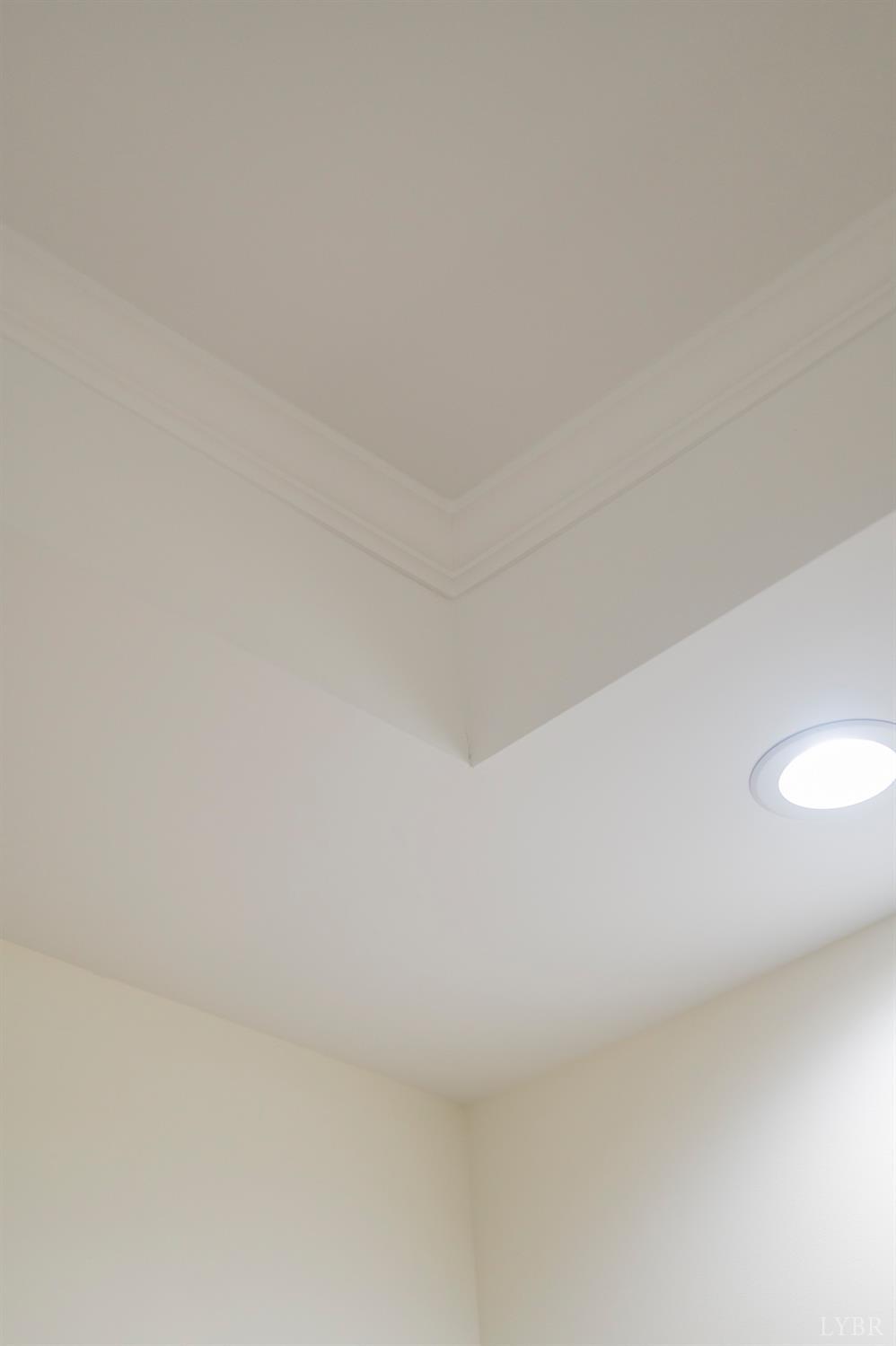 1738 Willow Oak Drive Forest, VA 24551 - Photo 39 of 54 a view of small space