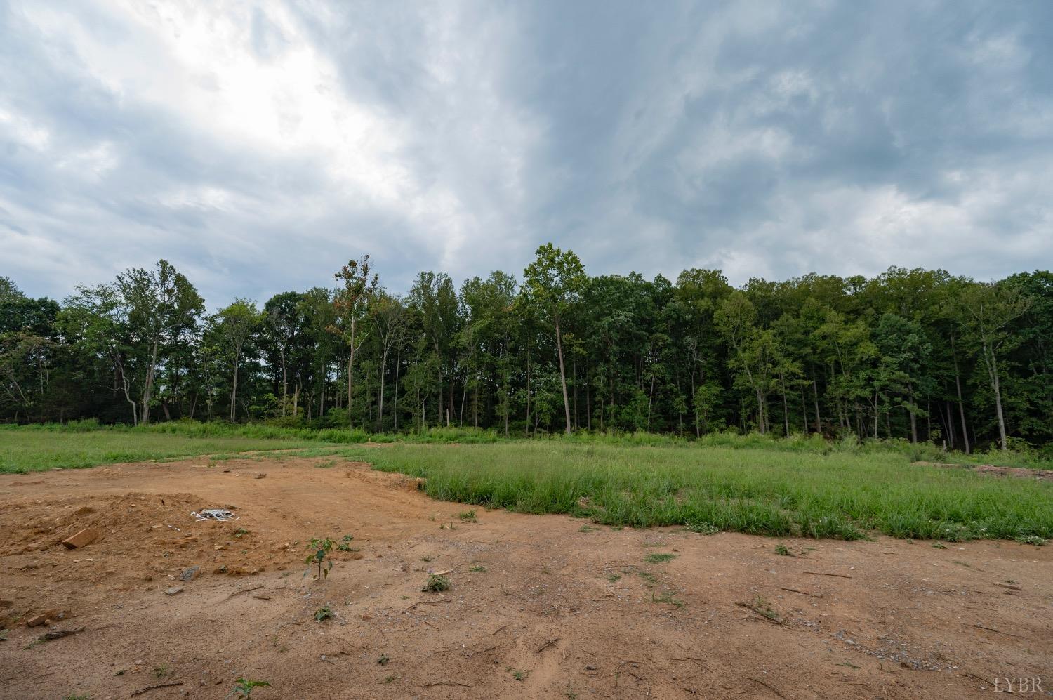 1738 Willow Oak Drive Forest, VA 24551 - Photo 49 of 54