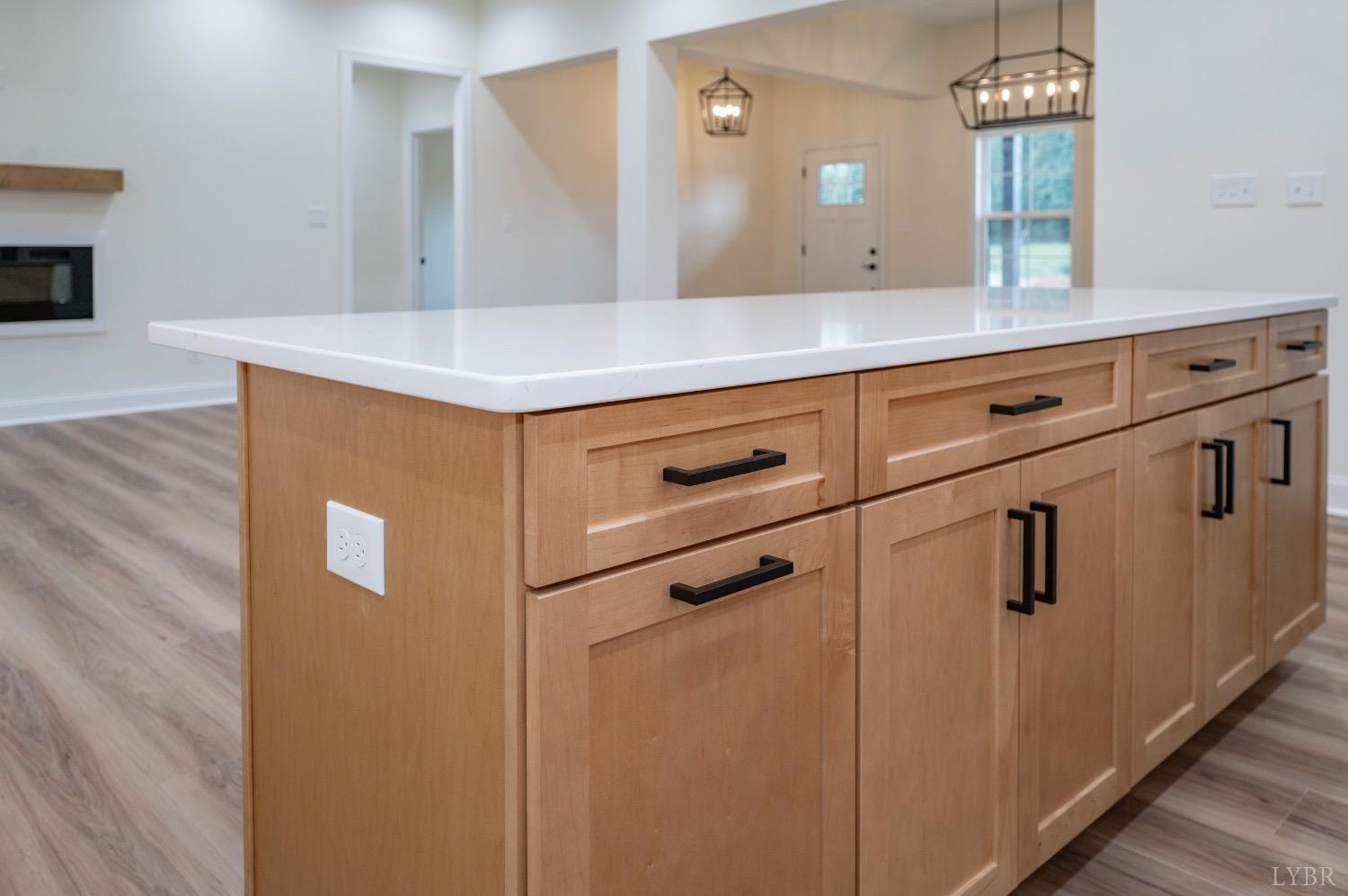 1738 Willow Oak Drive Forest, VA 24551 - Photo 8 of 54 a view of a hallway with front door and wooden floor