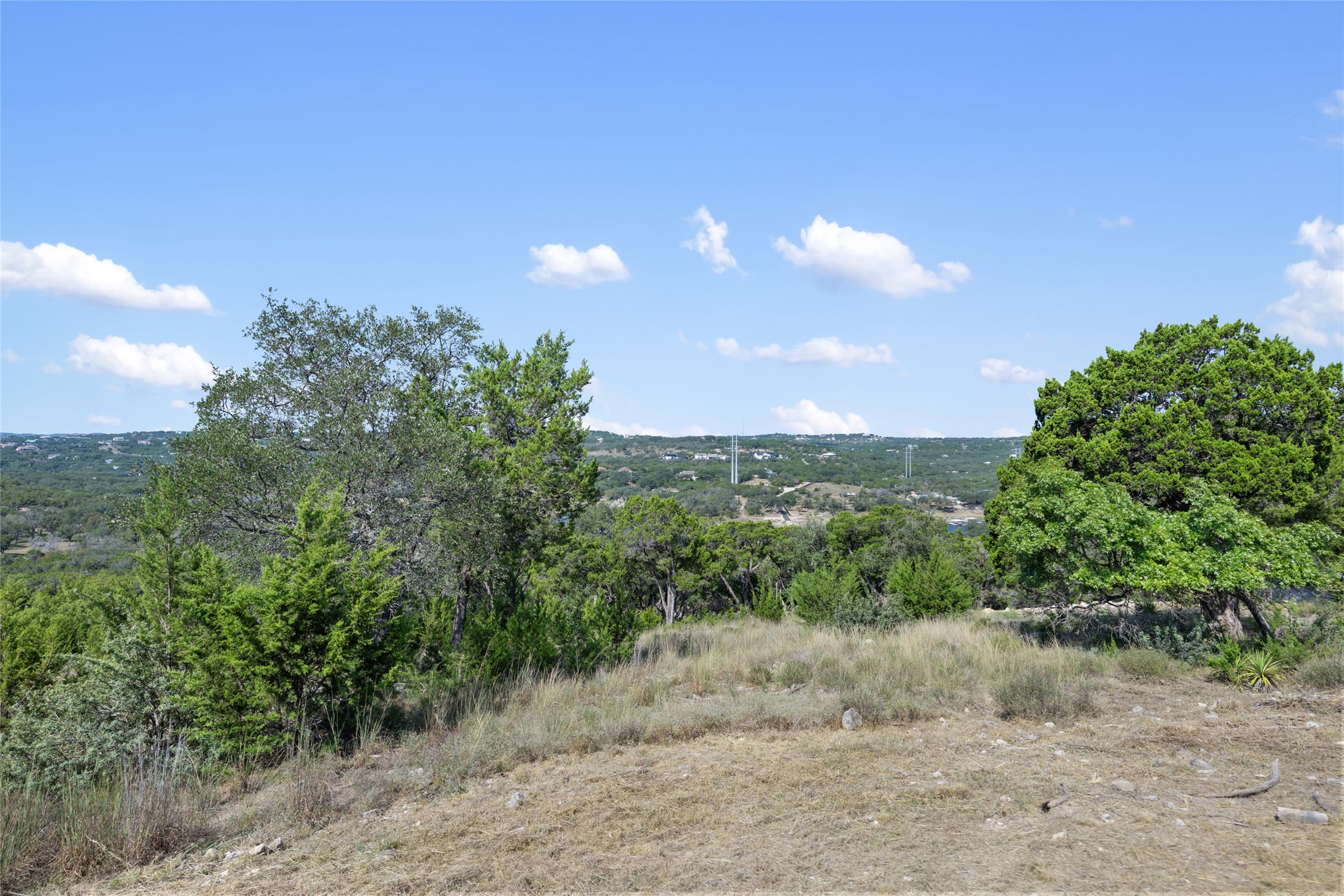 2808 Lakehurst Road Spicewood, TX 78669 - Photo 6 of 16