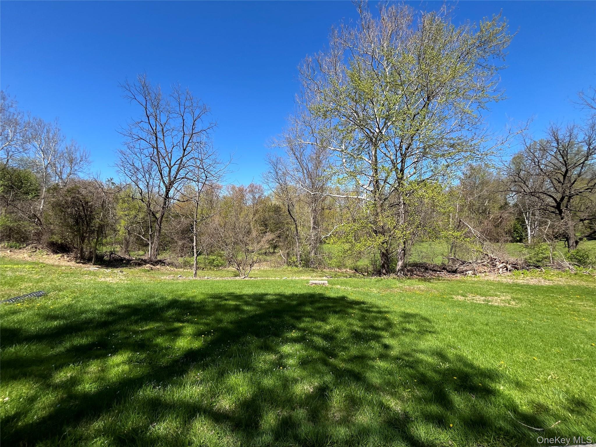 193 Palen Road Hopewell Junction, NY 12533 - Photo 6 of 13