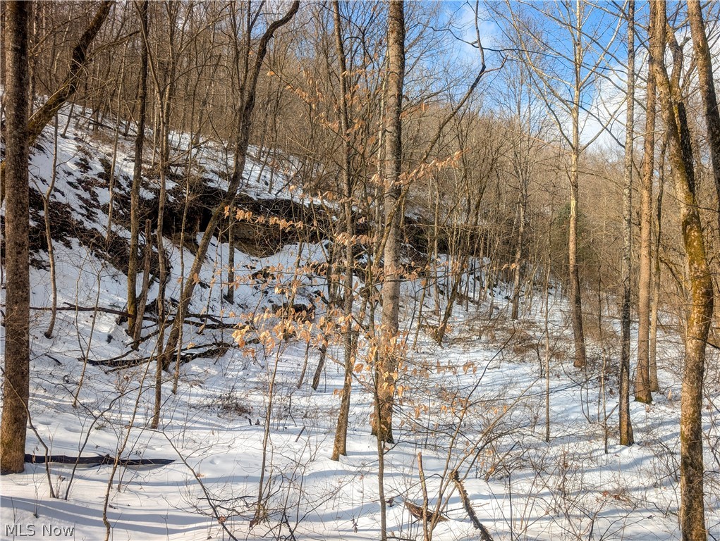 13 Ayers Ridge Lower Salem, OH 45745 - Photo 11 of 32 Snowy view