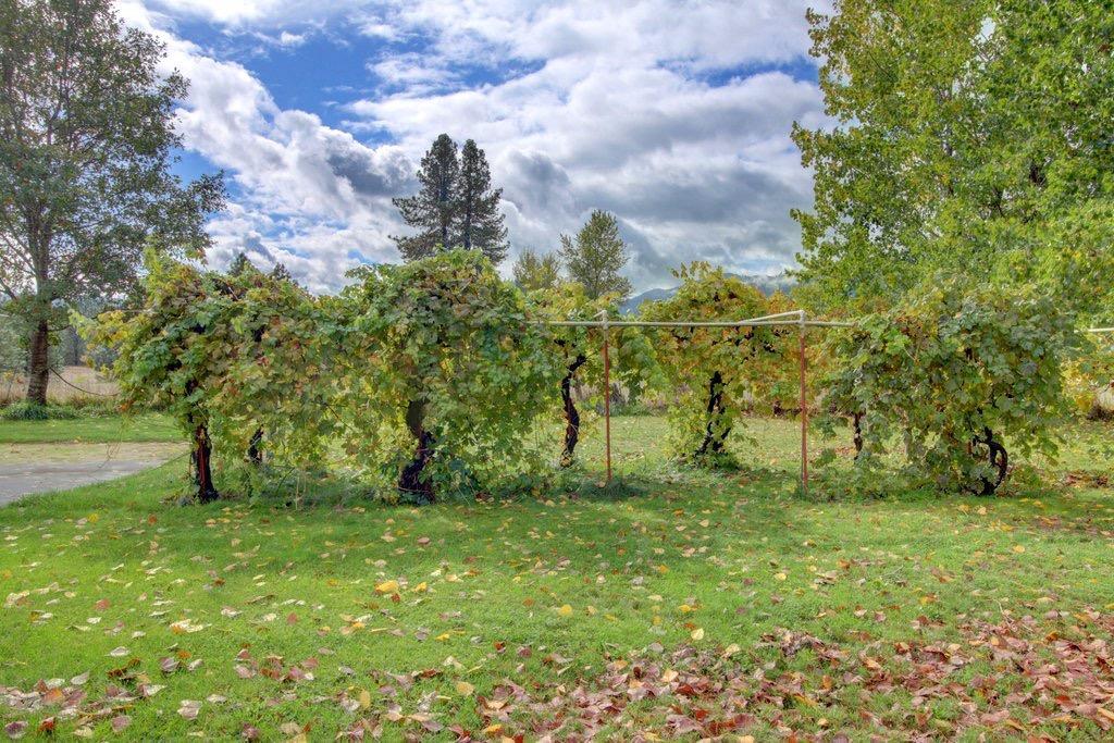 1175 Pine Grove Road Rogue River, OR 97537 - Photo 11 of 35 Additional Photo
