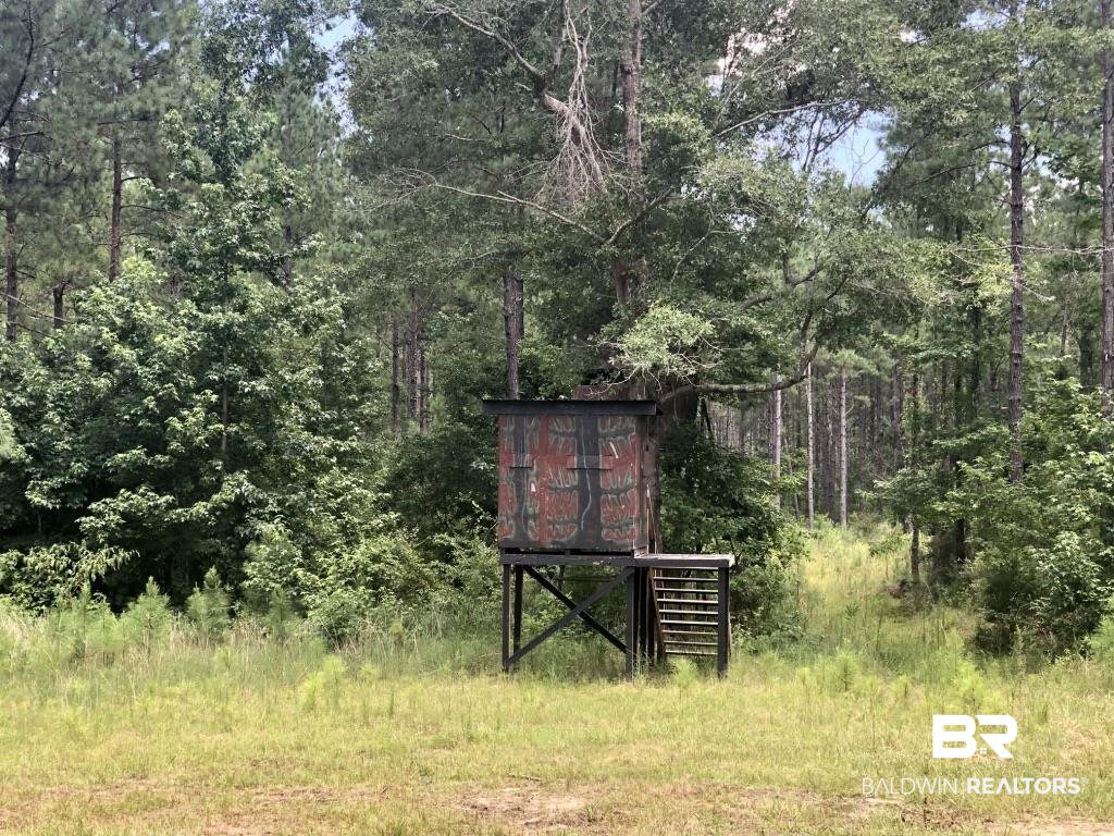 0 Bud Odom Road Deer Park, AL 36529 - Photo 10 of 50