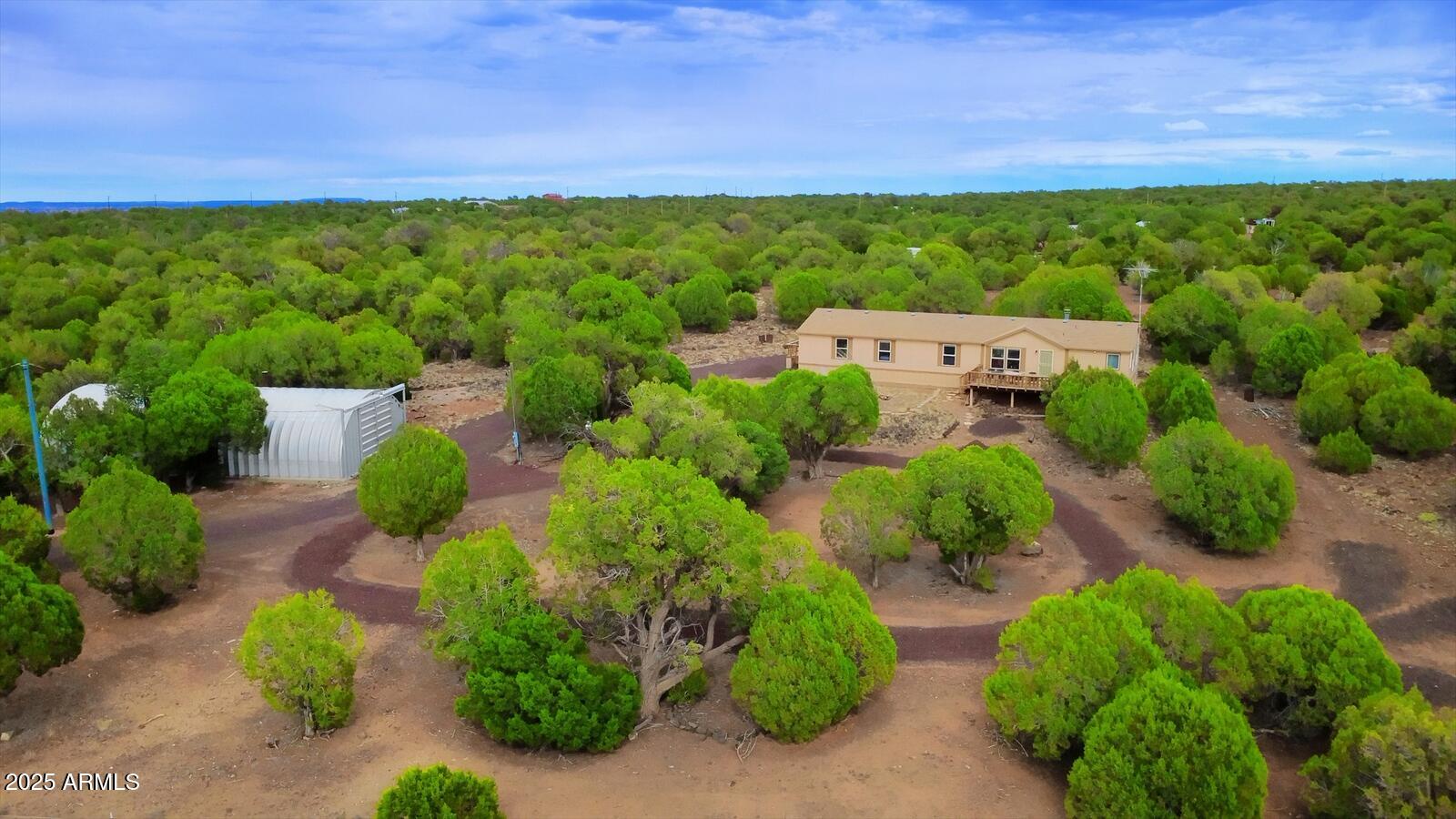 7865 Christmas Tree Road Show Low, AZ 85901 - Photo 20 of 32 a view of a garden with plants