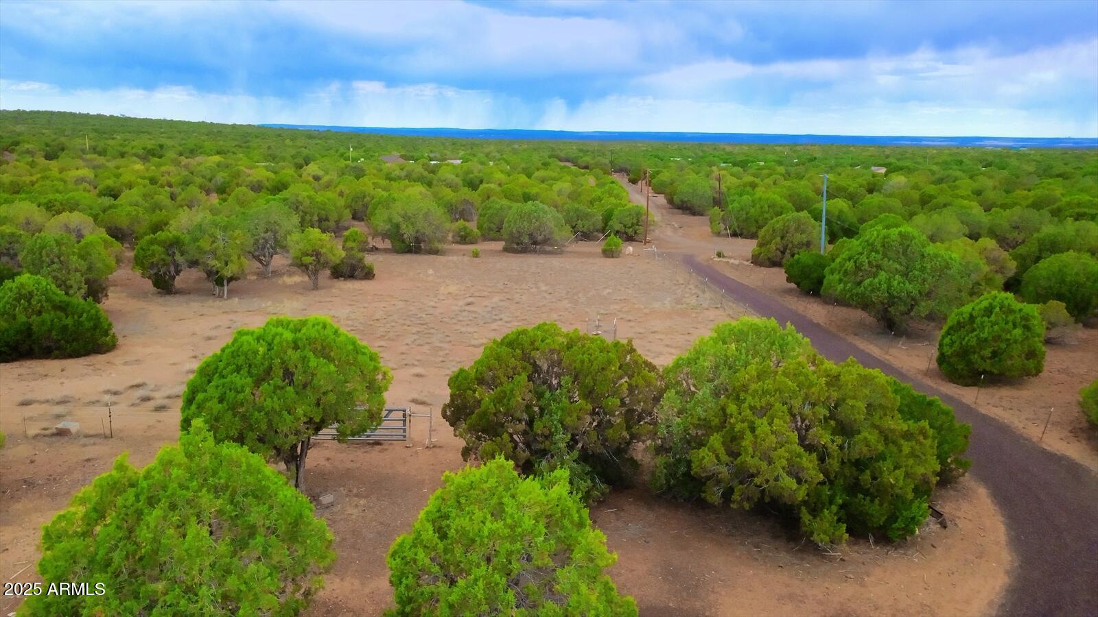 7865 Christmas Tree Road Show Low, AZ 85901 - Photo 6 of 32 a view of a lake with a yard