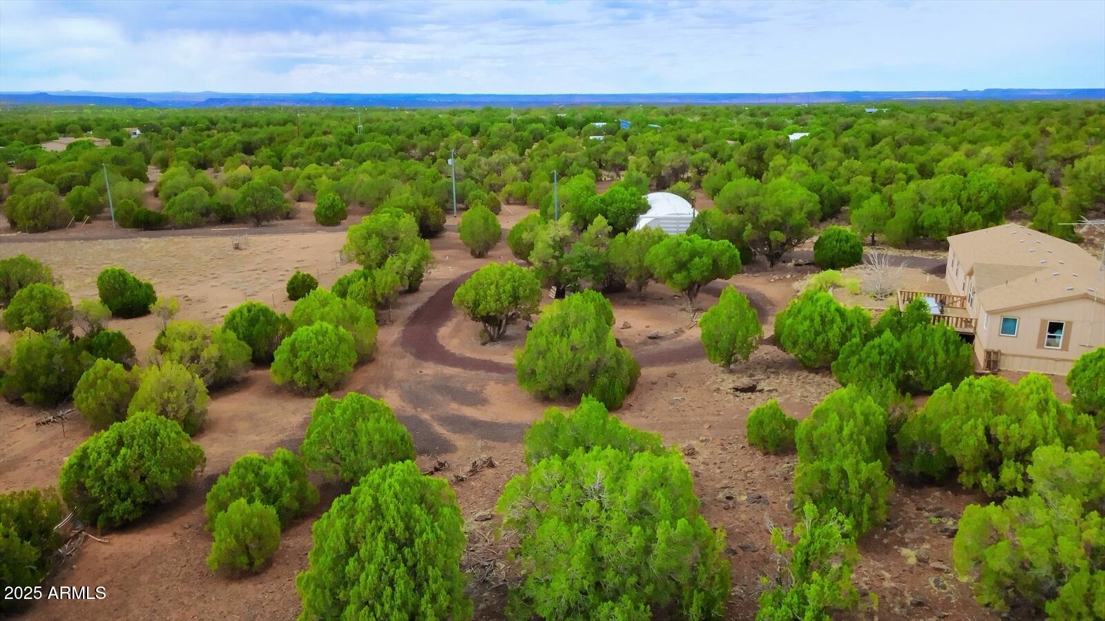 7865 Christmas Tree Road Show Low, AZ 85901 - Photo 10 of 32 a view of a garden with plants