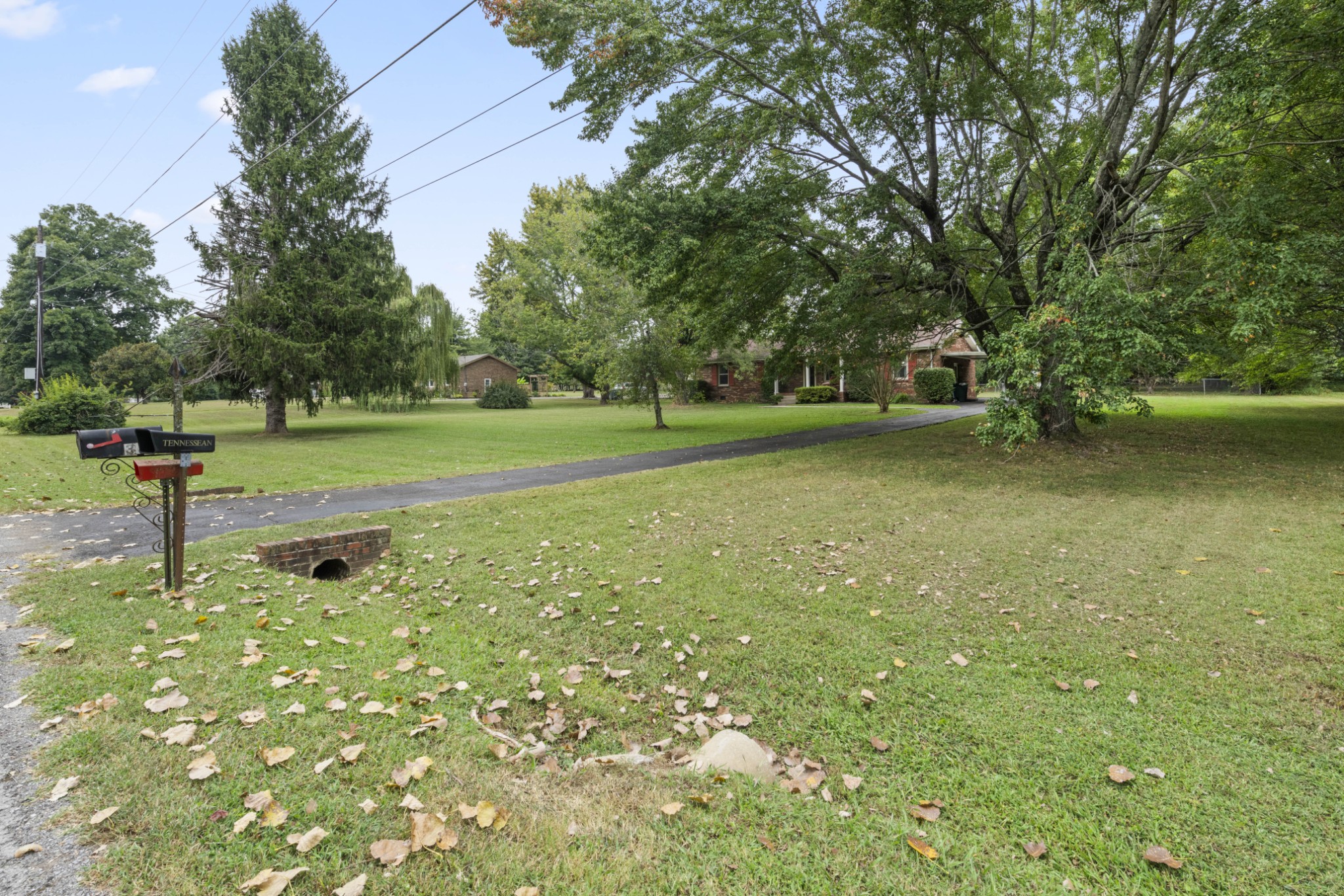 357 Raymond Hodges Road Cottontown, TN 37048 - Photo 21 of 21 a big yard with lots of green space and trees